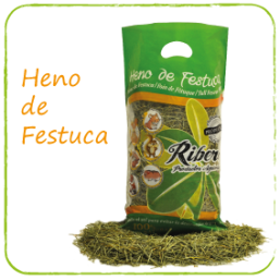 RIBERO HENO DE FESTUCA 1K